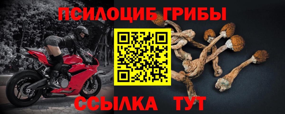 Псилоцибиновые грибы GOLDEN TEACHER Кулебаки